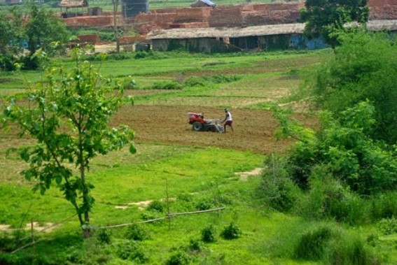 Mandai wins the best village title Mandai wins the best village title